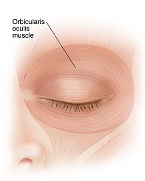 Eyelid twitching–are spasms an indicator of a more serious condition?